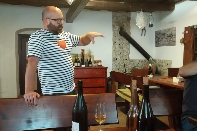Wine Tasting Tour in Tokaj Wine Region Slovakia. With transport - Borša, the castle setting, and lunch