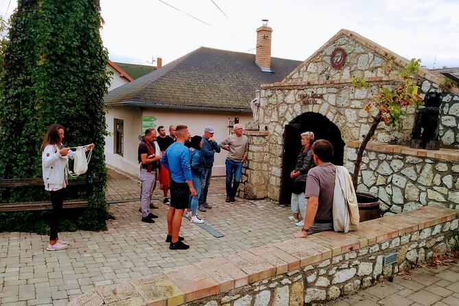 Wine Tasting Tour in Tokaj Wine Region Slovakia. With transport - Practical advice before you book