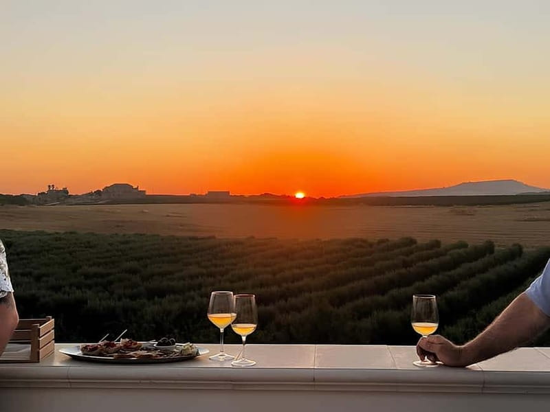Wine tasting under the Stars in the vineyards of Agrigento - Three Wines Beneath the Stars