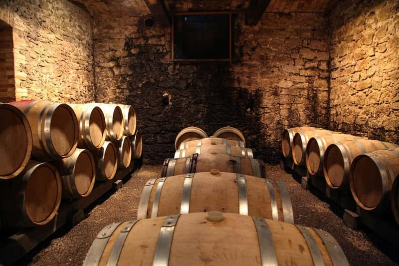 Wine Tasting & Vineyards Escape near Tirana - Key points to know before booking