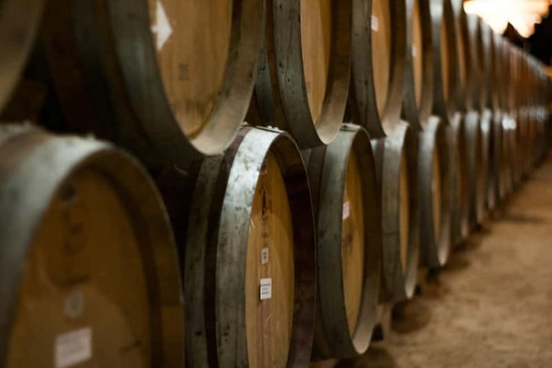 Wine Tasting & Vineyards Escape near Tirana - Is $118.58 a fair price?