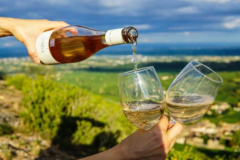 Wine Tasting & Vineyards Escape near Tirana - The strongest parts of the experience