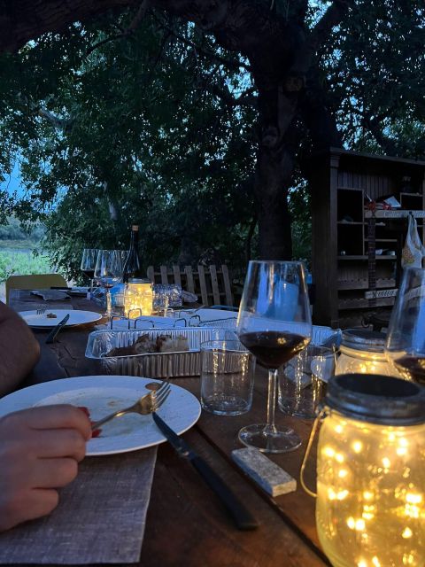 Wine tour and lunch or dinner at our vineyard - A full Sardinian meal beneath the carob tree