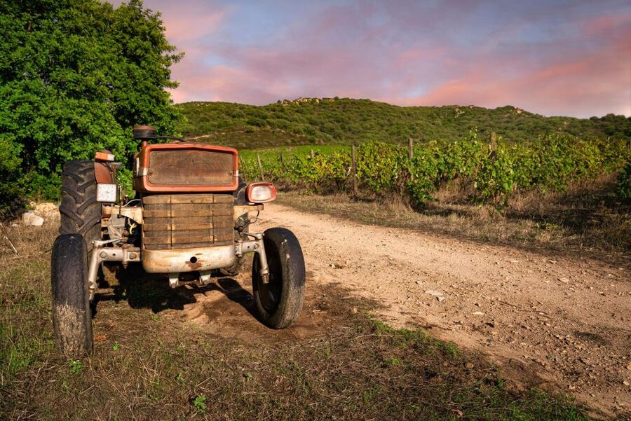 Wine tour and lunch or dinner at our vineyard - Is the $113.29 price good value?