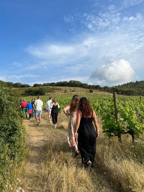 Wine tour and lunch or dinner at our vineyard - Meeting Gianluca at Eurospin