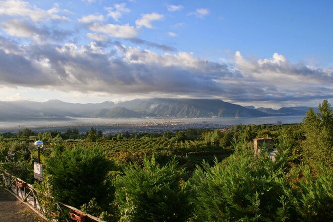Wine Tour and Lunch with Winetasting and Vineyard Visit - What the $186.04 price includes