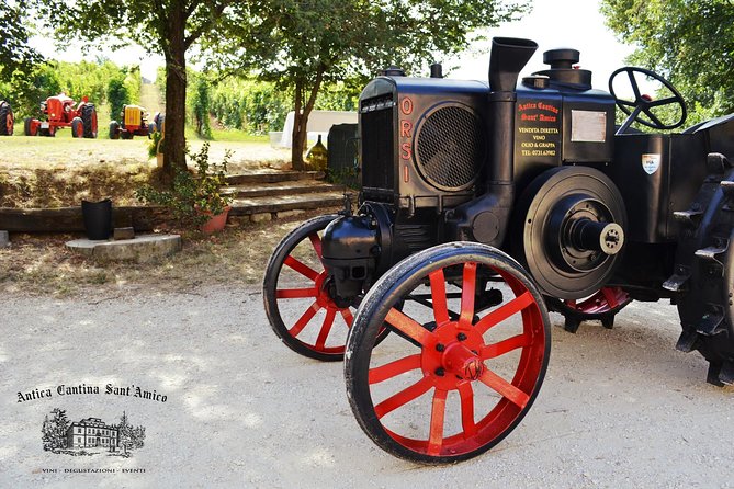 Wine Tour and Tasting at Le Marche's Oldest Wine Estate - Three wines and a generous local food pairing
