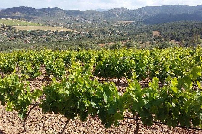 Wine tour aroud vineyards of Cagliari - Chiesa Campestre di Santa Maria di Sibiola