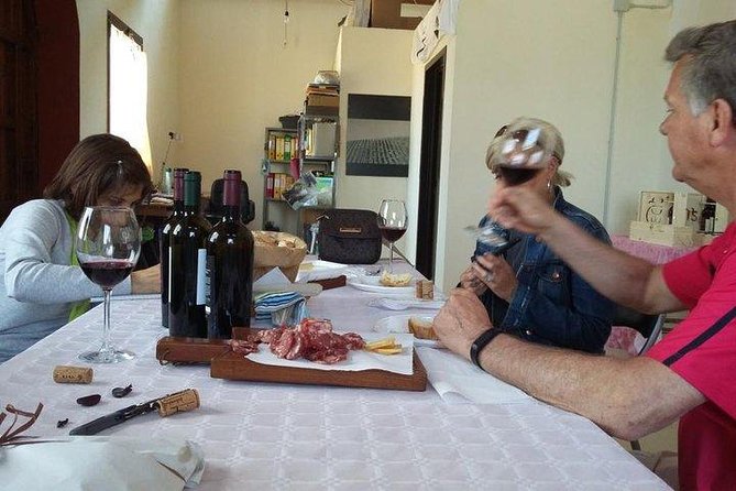 Wine tour aroud vineyards of Cagliari - Meeting the vineyard family