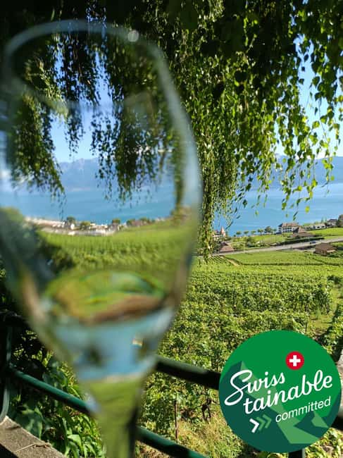 Wine tour in the canton of Vaud - Lavaux vineyards - Key points at a glance