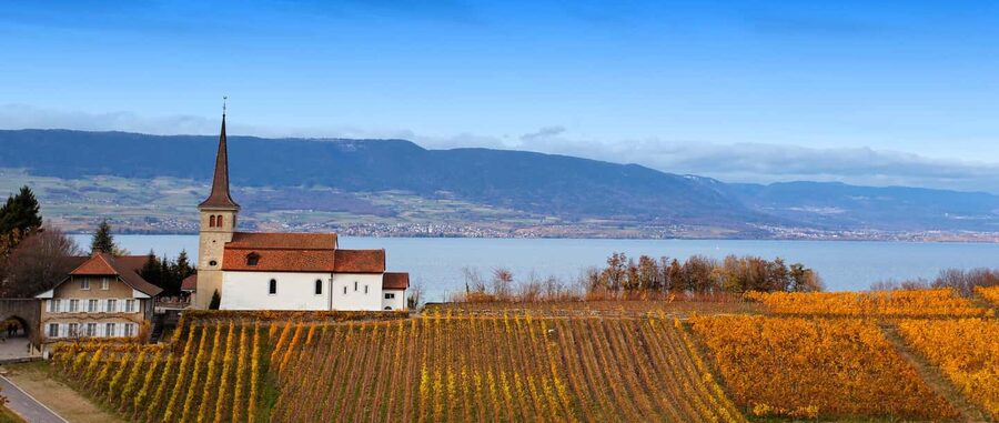 Wine tour in the canton of Vaud - Lavaux vineyards - Three tastings, thirteen wines, and a broader view of Vaud