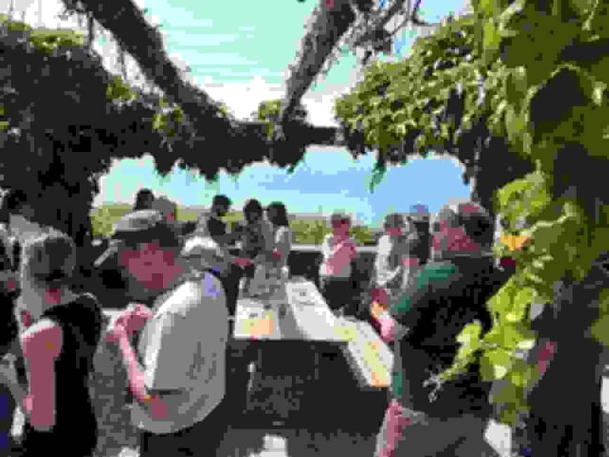 Wine tour in the canton of Vaud - Lavaux vineyards - What the $322 price really covers