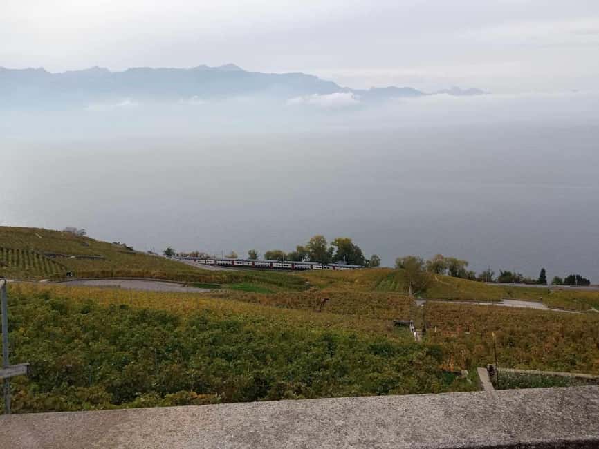Wine tour in the canton of Vaud - Lavaux vineyards - What the strongest parts of the day are