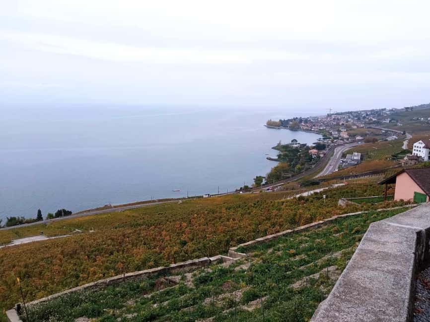 Wine tour in the canton of Vaud - Lavaux vineyards - FAQ