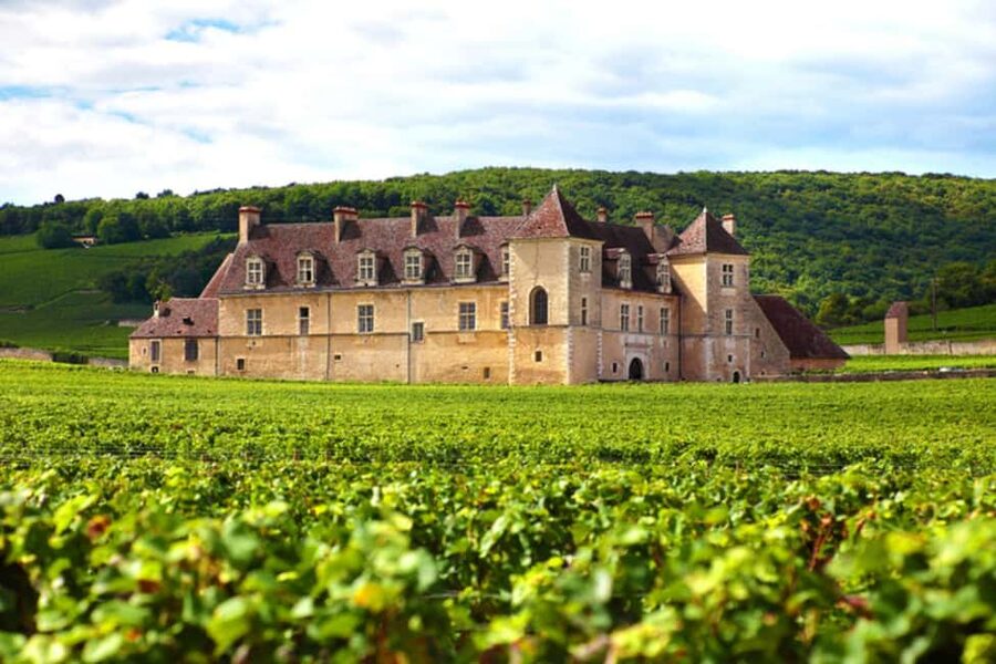 Wine tour in the canton of Vaud - Lavaux vineyards - Walking the Lavaux terraces