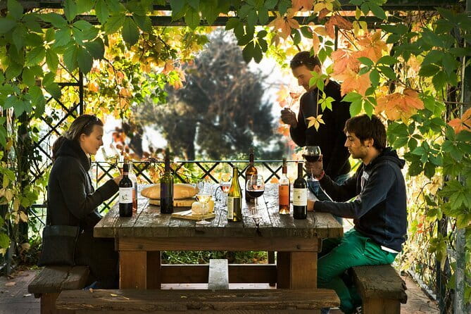 Wine Tour of two Chianti wine estates on the hills of Florence - Food makes the tasting more useful