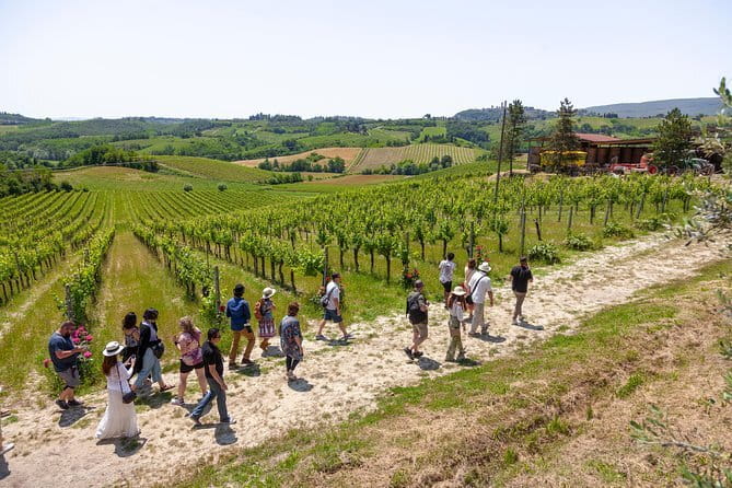 Wine Tour of two Chianti wine estates on the hills of Florence - Practical details before you reserve