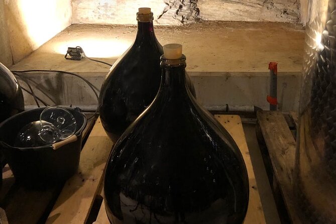 Wine Tours and Tastings from Béziers - Why this Béziers wine tour works well