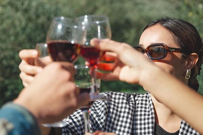 Wine Tours and Tastings from Béziers - Faugères and the character of shale soil