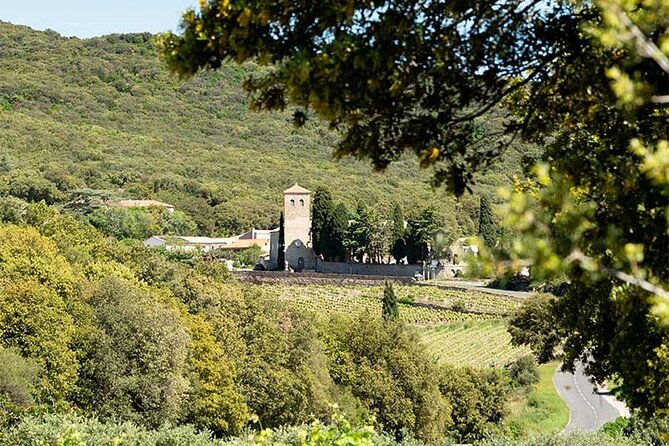 Wine Tours and Tastings from Béziers - Who should book this outing?