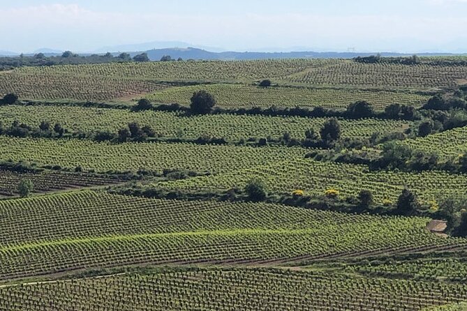 Wine Tours and Tastings from Béziers - Puissalicon: a small village before the first tasting