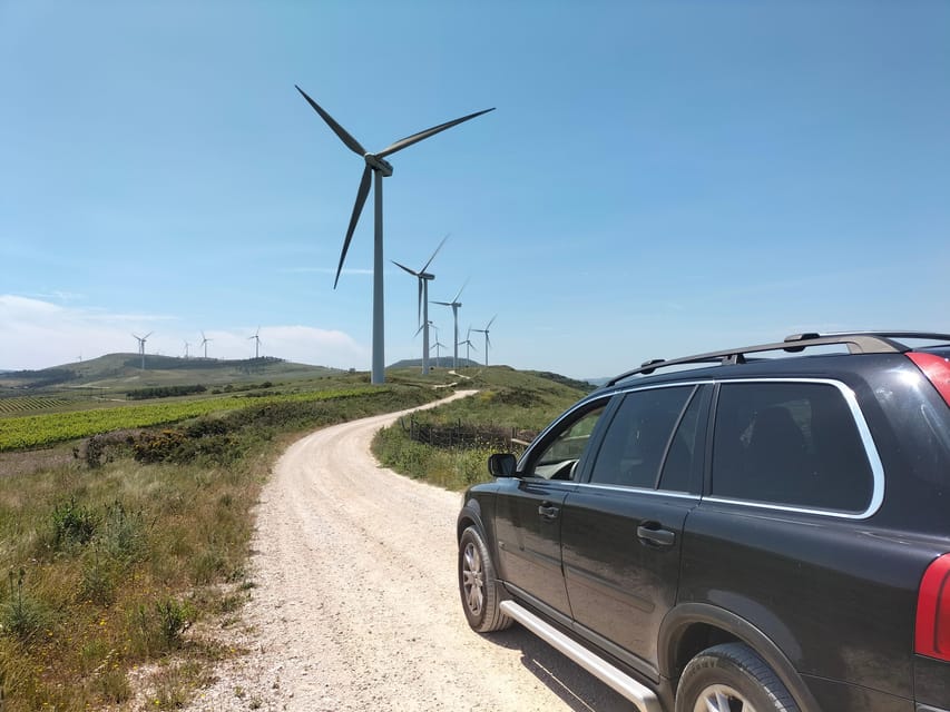 Winery, Tastings & 4x4 Vineyards: Half-Day Trip from Lisbon - Key points to know before booking