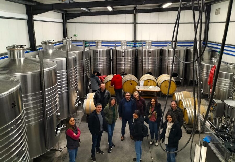 Winery, Tastings & 4x4 Vineyards: Half-Day Trip from Lisbon - Practical tips for a better day