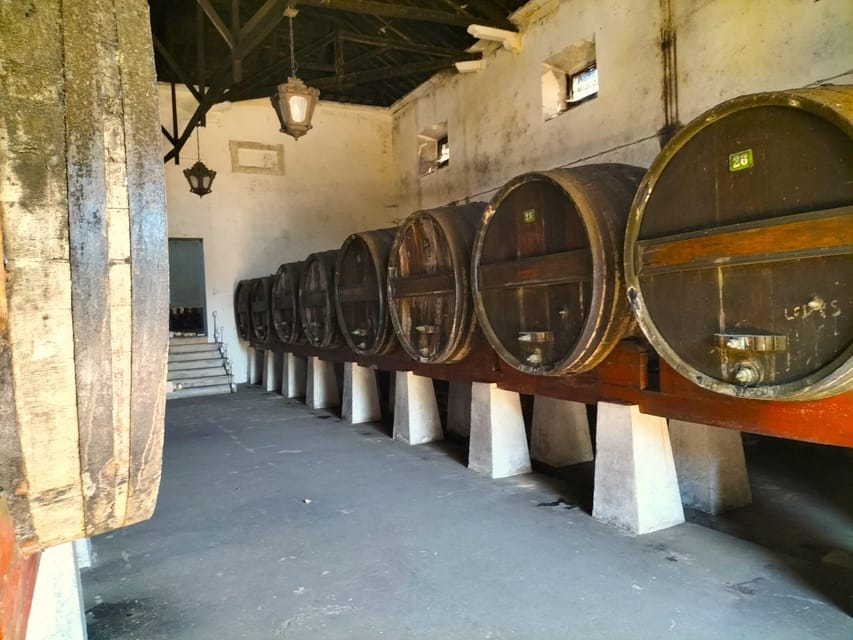 Winery, Tastings & 4x4 Vineyards: Half-Day Trip from Lisbon - Leaving Lisbon for the vineyards
