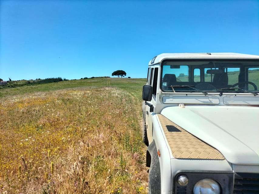 Winery, Tastings & 4x4 Vineyards: Half-Day Trip from Lisbon - Inside the winery and cellar