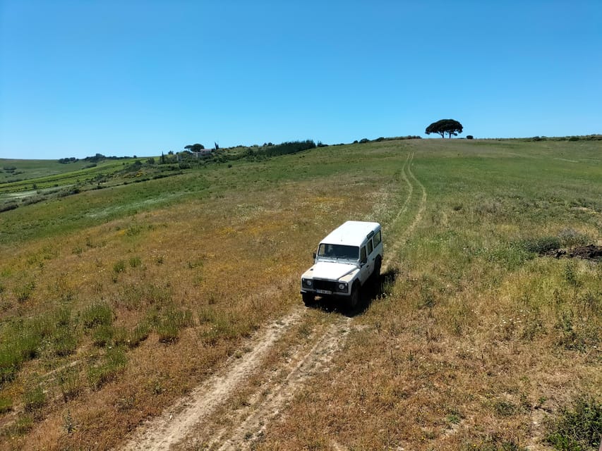 Winery, Tastings & 4x4 Vineyards: Half-Day Trip from Lisbon - Tasting wine as the day slows down