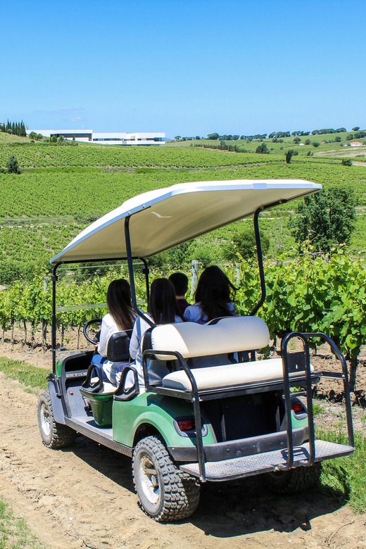 Winery, Tastings & 4x4 Vineyards: Half-Day Trip from Lisbon - What the price includes at $176