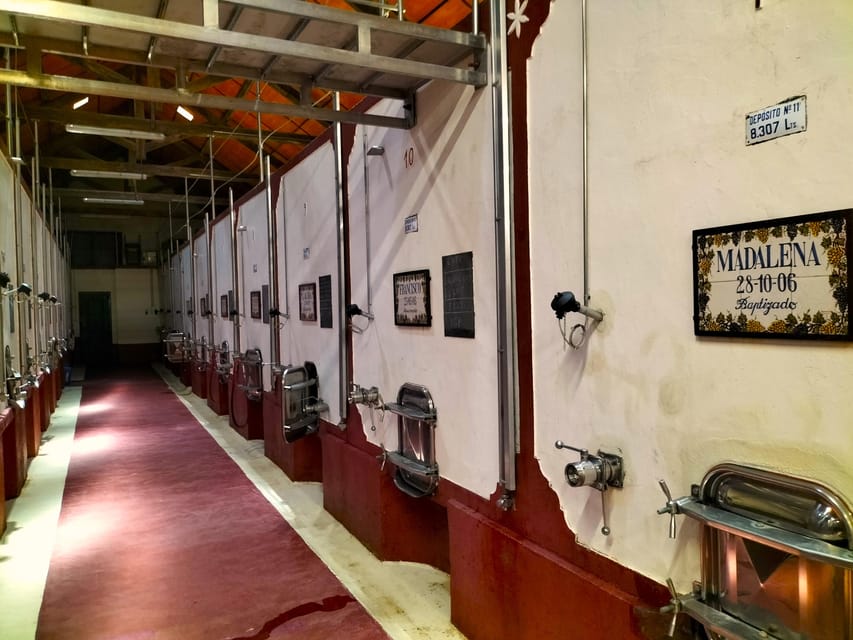 Winery, Tastings & 4x4 Vineyards: Half-Day Trip from Lisbon - What personal service can look like