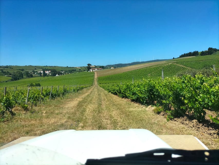 Winery, Tastings & 4x4 Vineyards: Half-Day Trip from Lisbon - Is the tour accessible and family-friendly?
