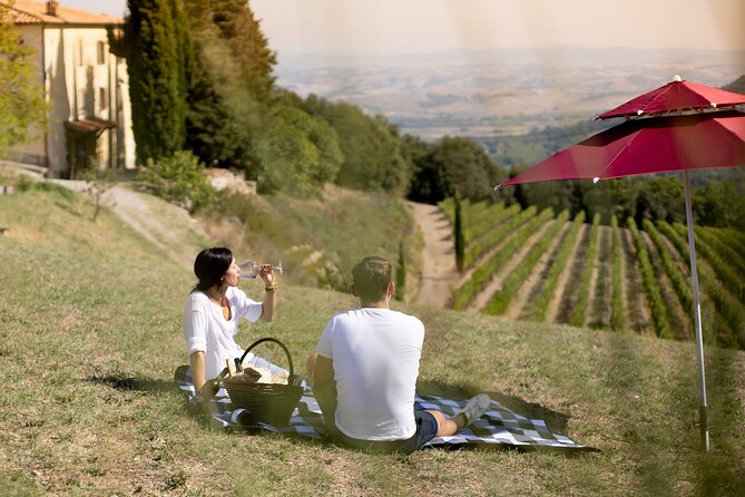 Winery Tour & picnic in the vineyard with a bottle of wine - Corte Pavone and the Montalcino setting