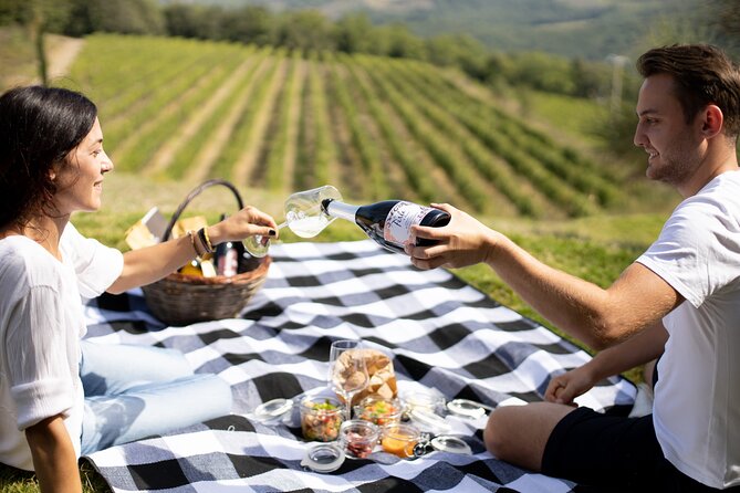 Winery Tour & picnic in the vineyard with a bottle of wine - The wine tasting and time to shop