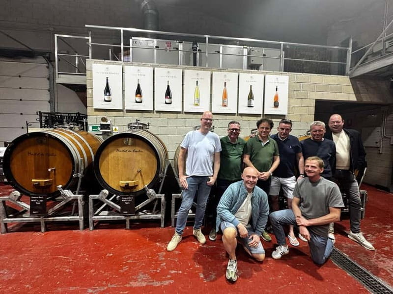 Winery Visit and Tasting in Elche with wines and tapas from Alicante in Van - Key points to know before you book