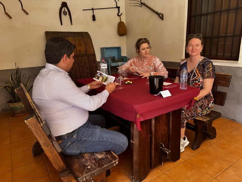 Winery Visit and Tasting in Elche with wines and tapas from Alicante in Van - The ride to Faelo Winery with a sommelier