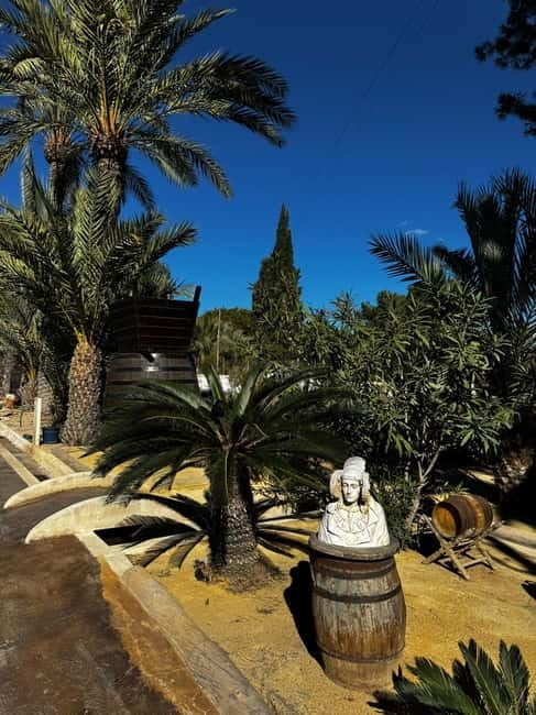Winery Visit and Tasting in Elche with wines and tapas from Alicante in Van - Inside the winery: vineyards, cellars, and older equipment