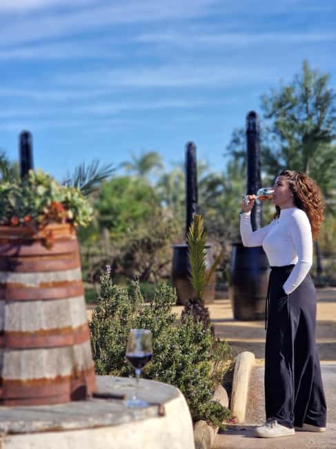 Winery Visit and Tasting in Elche with wines and tapas from Alicante in Van - How the cost compares with the experience