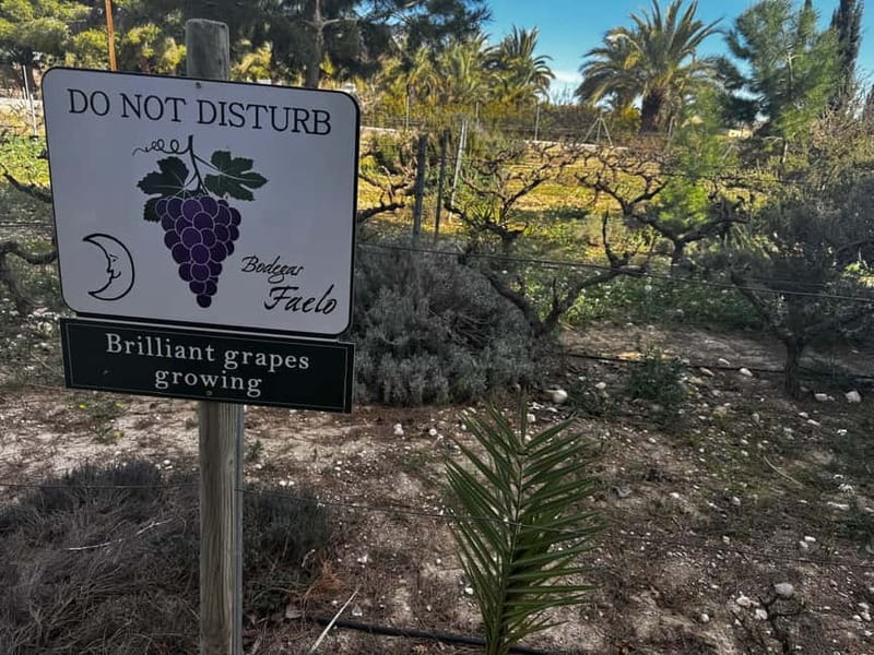 Winery Visit and Tasting in Elche with wines and tapas from Alicante in Van - Pickup from Alicante, Santa Pola, Urbanova, or Gran Alacant