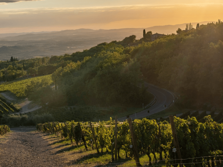 Winery Visit & Tasting near Grosseto with 6 wines - The 40-minute tasting, with six wines