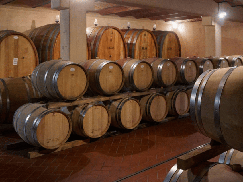 Winery Visit & Tasting near Grosseto with 6 wines - Group size, timing, and the feel of the visit