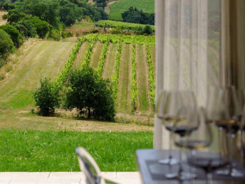 Winery Visit & Tasting near Grosseto with 6 wines - Weather, comfort, and who should book