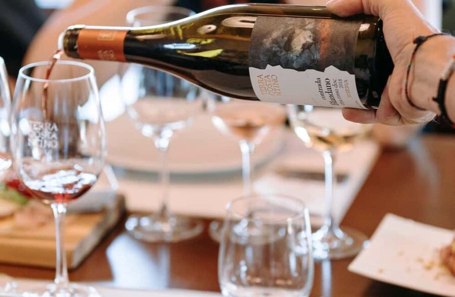 Winery Visit & Tasting on the Volcanic Slopes near Catania - Key points at a glance