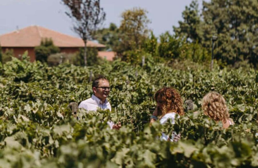 Winery Visit & Tasting on the Volcanic Slopes near Catania - Why this Etna tasting feels different