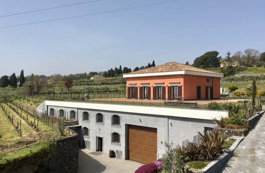 Winery Visit & Tasting on the Volcanic Slopes near Catania - Bread, olive oil, and a terrace over the Ionian Sea