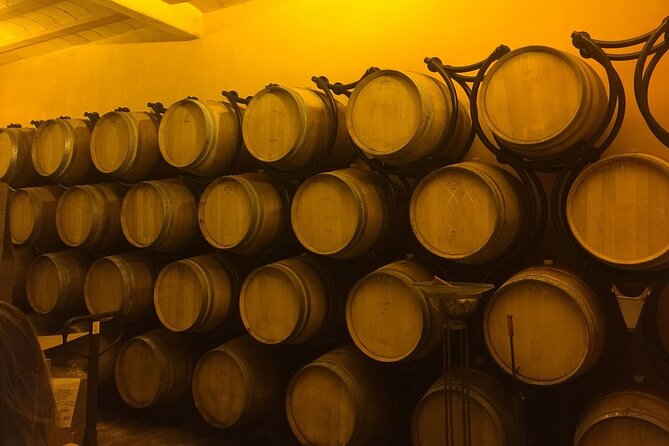 Winery Visit with Food and Wine in Carcassonne - Why the small group matters