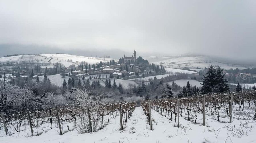 Winter Games Vineyards Milan’s Perfect Wine Tasting - Key points at a glance