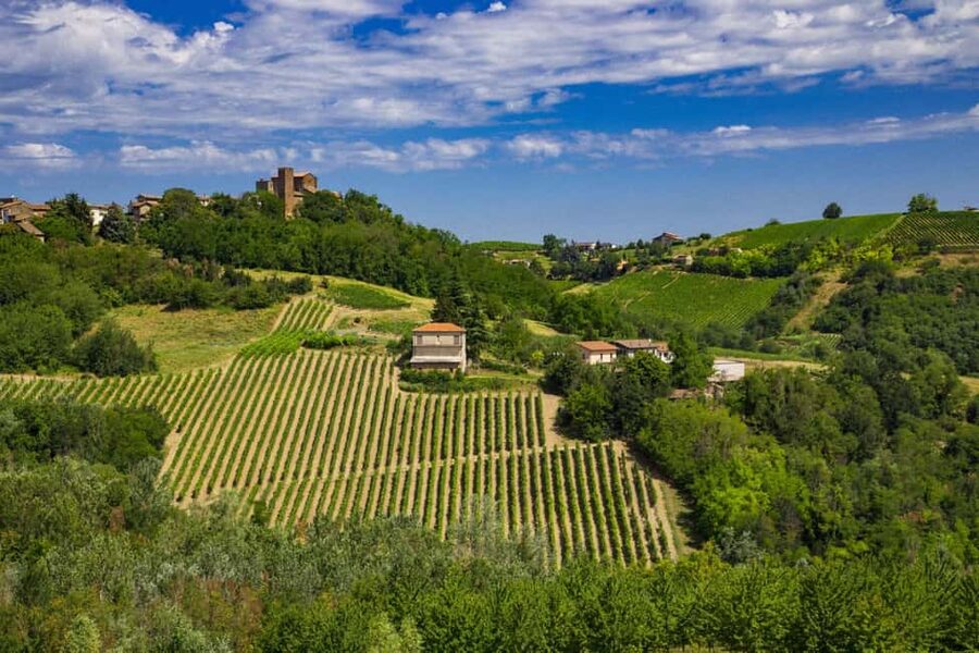 Winter Games Vineyards Milan’s Perfect Wine Tasting - A guided walk through small local towns