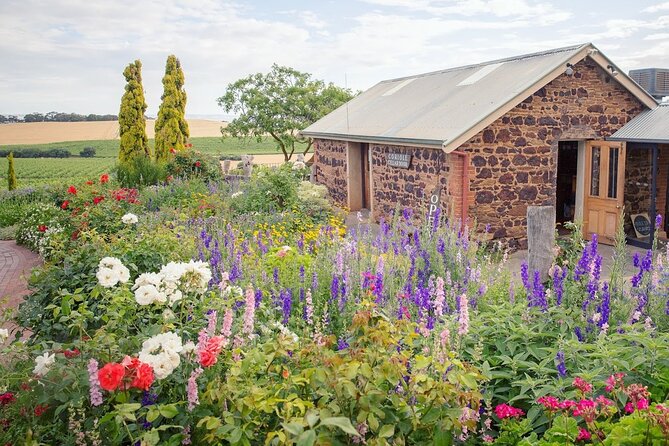 Wirra Wirra Vineyard McLaren Vale: Winery Tour and Shiraz Masterclass - Is $57.38 good value for one hour?